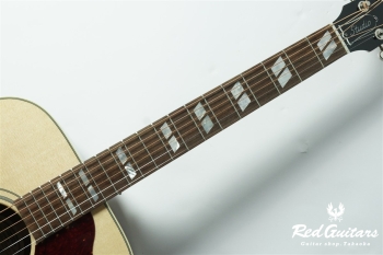 Hummingbird Studio Walnut